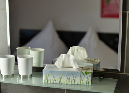 Gästehaus Wörner - Fliederblüte